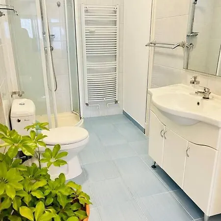 Apartament Classy #12lunipebega Timişoara