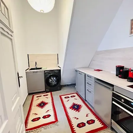 Classy #12lunipebega Timişoara