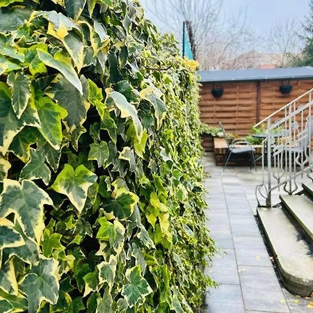 Appartement Classy #12lunipebega *