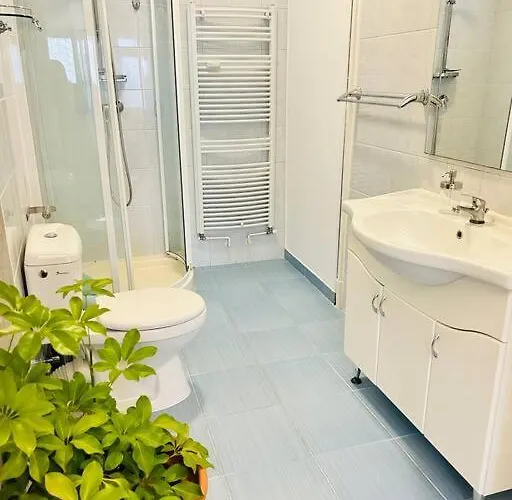 Apartamento Classy #12lunipebega Timişoara