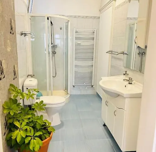 Classy #12lunipebega Apartamento Timişoara