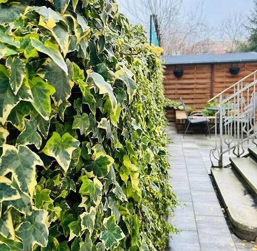 Apartamento Classy #12lunipebega *